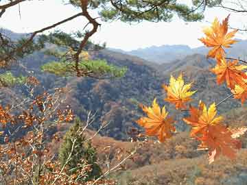 伊朗称遭袭击前已提前对三个核设施进行疏散